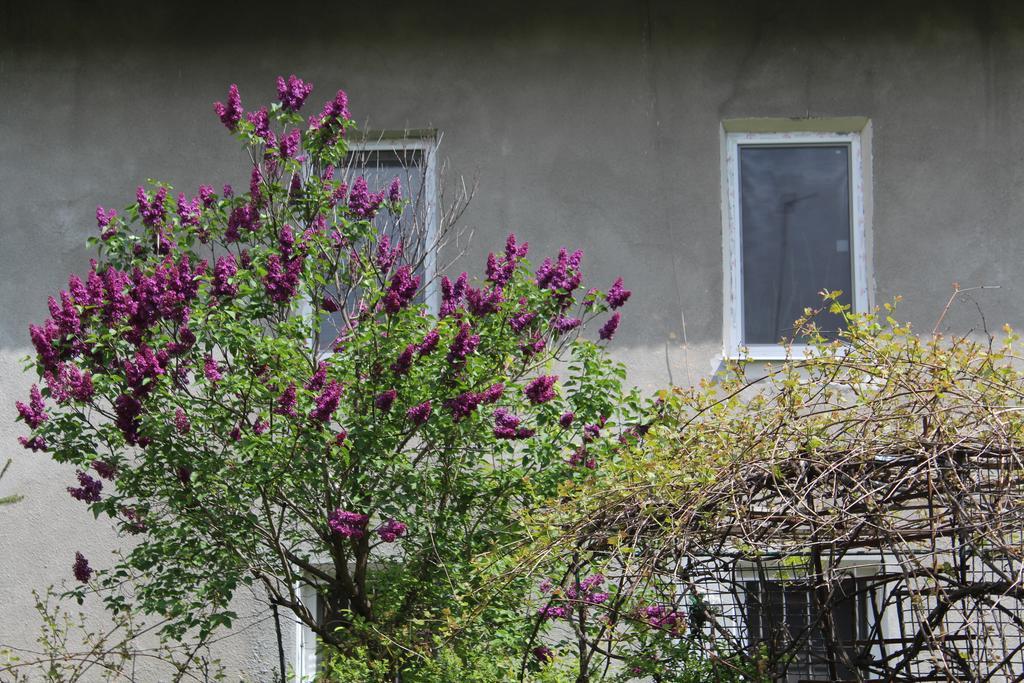 Apartment On Zaliznychna Lvov Exteriér fotografie