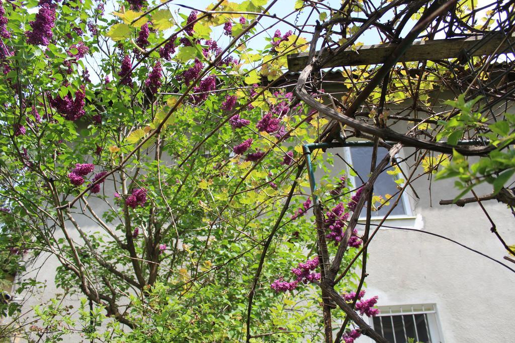 Apartment On Zaliznychna Lvov Exteriér fotografie